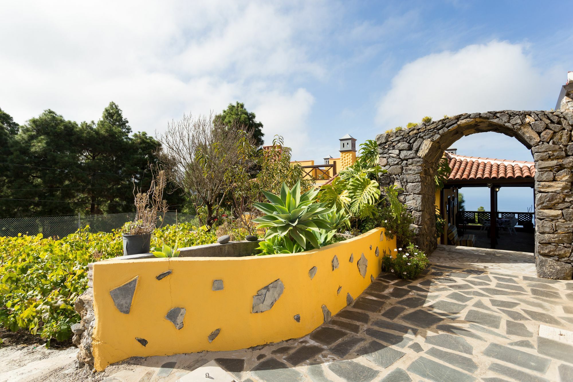 Finca Casa Yaya Icod De Los Vinos Exterior foto