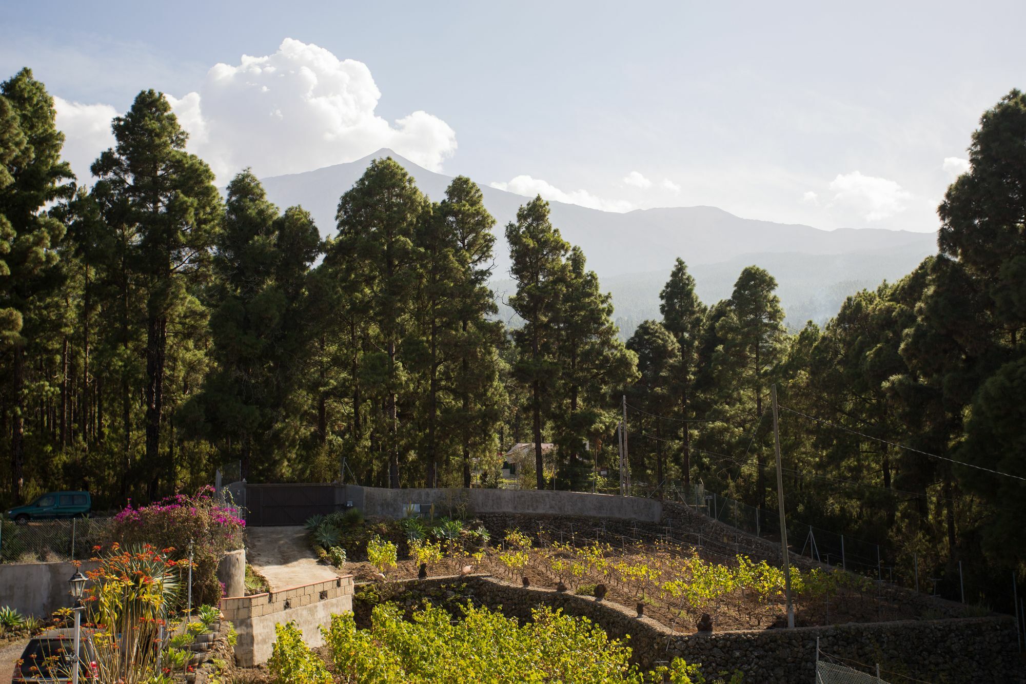 Finca Casa Yaya Icod De Los Vinos Exterior foto