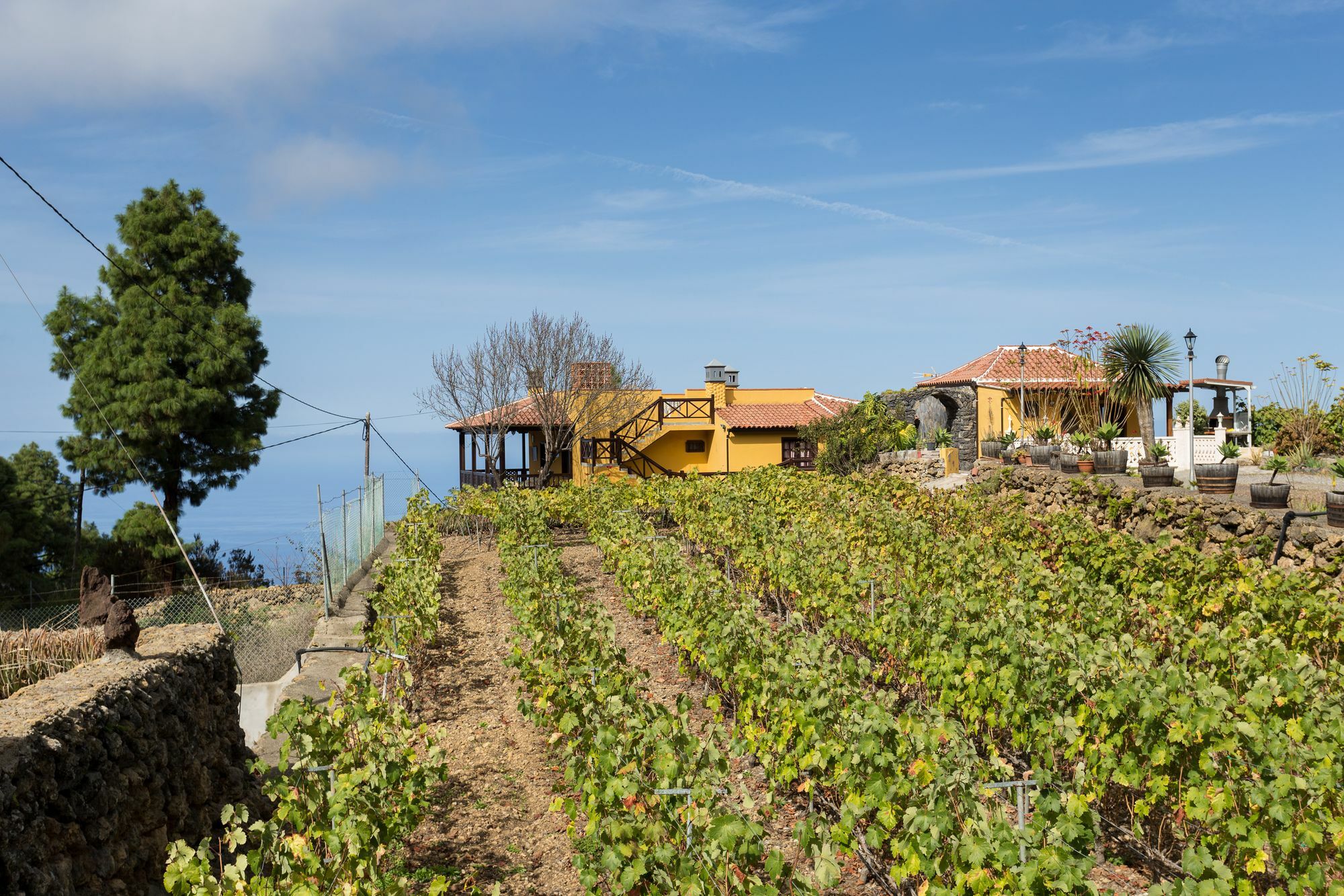 Finca Casa Yaya Icod De Los Vinos Exterior foto
